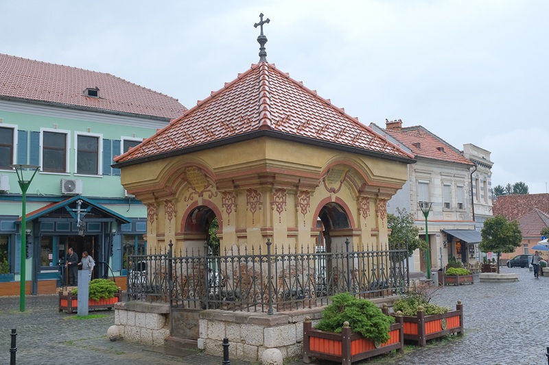Junii Brașoveni, mesaj de suflet pentru toți iubitorii de cultură și istorie
