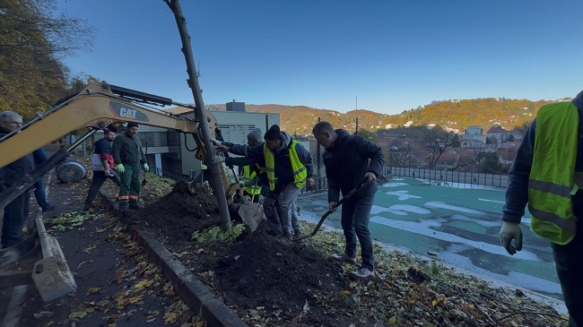 Campanie de plantări Sub Tâmpa – ,,Reparăm ce au stricat alții!”