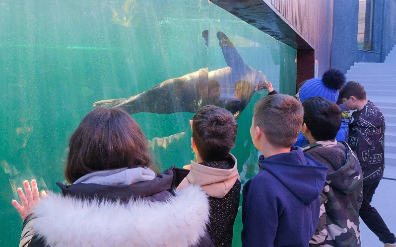 Zoo Brașov, prima grădină zoologică din România care devine membru permanent al EAZA