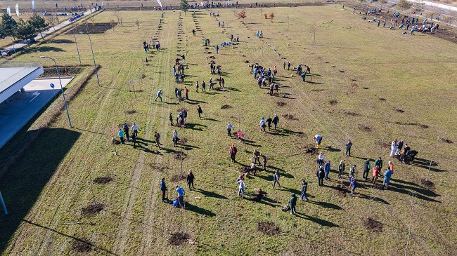 Cel mai mare hub pentru biodiversitate din România a prins viață astăzi la CATTIA – Brașov